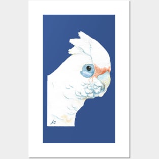 Little corella cockatoo painting - watercolor australian parrot wildlife Posters and Art